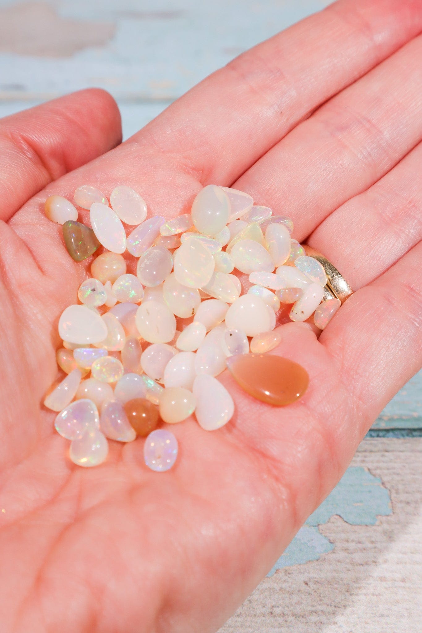 Polished Opal Pieces | Less Than 1 Gram Each | Intuitively Chosen Rocks & Fossils Tali & Loz Crystals