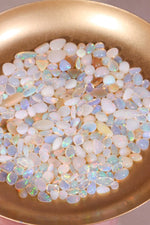 Polished Opal Pieces - Tali & Loz Crystals