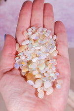 Polished Opal Pieces - Tali & Loz Crystals