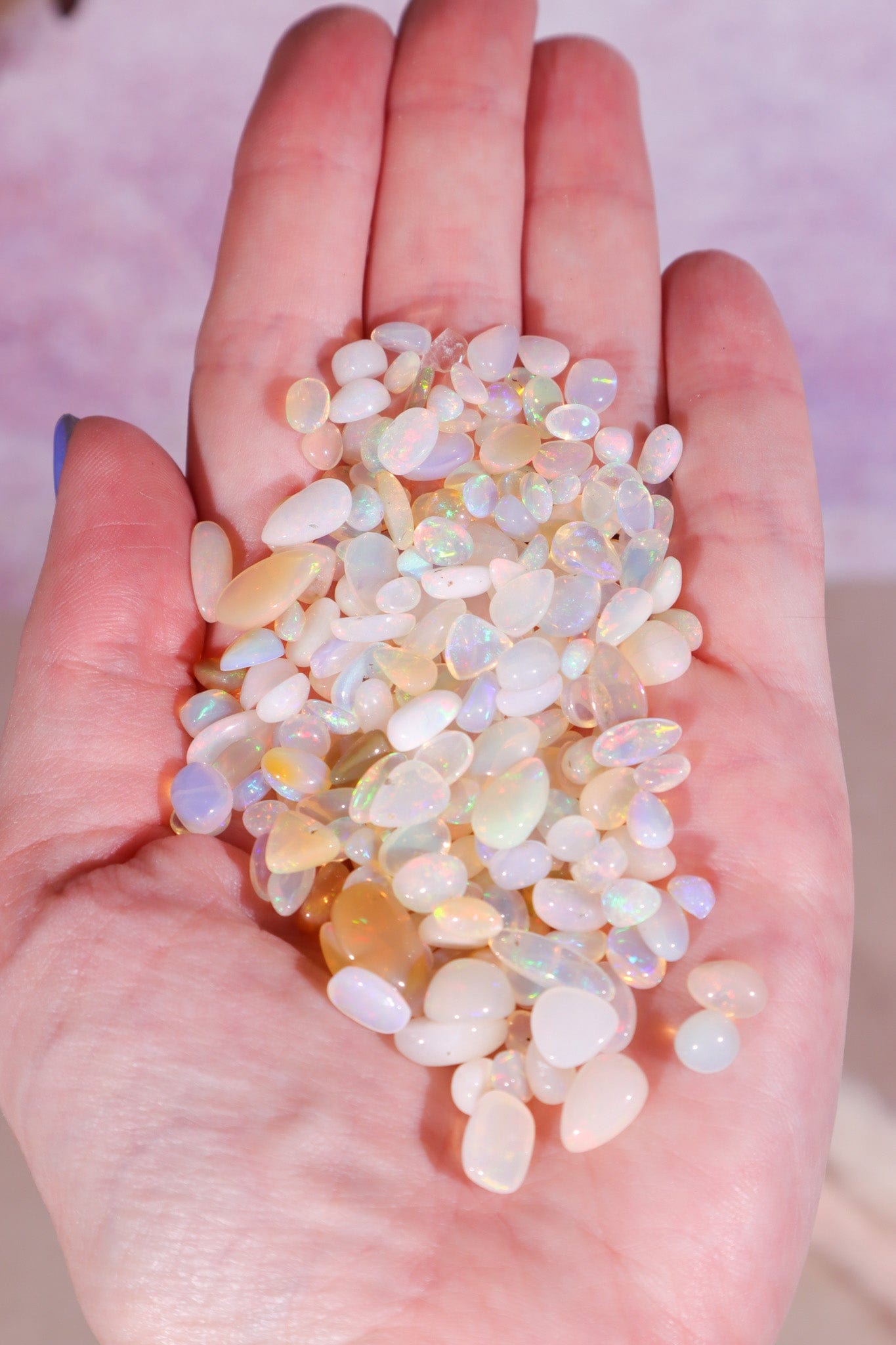 Polished Opal Pieces - Tali & Loz Crystals