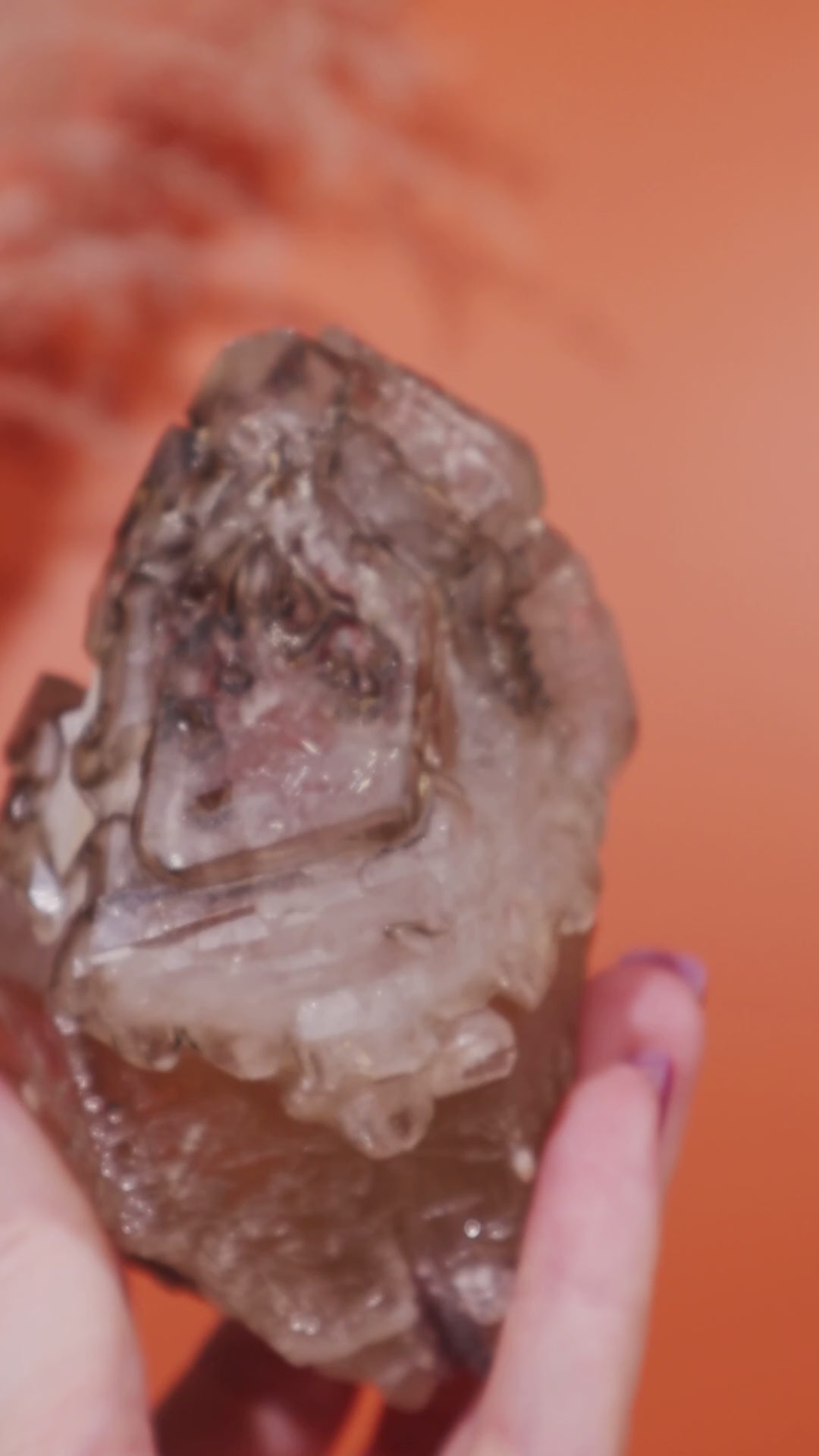 Elestial Smokey Quartz on Citrine with Tourmaline 375gr