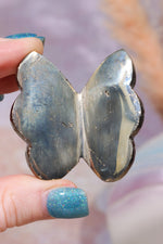Pyrite Butterfly | Intuitively Chosen Mushrooms Tali & Loz