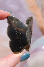 Pyrite Butterfly | Intuitively Chosen Mushrooms Tali & Loz