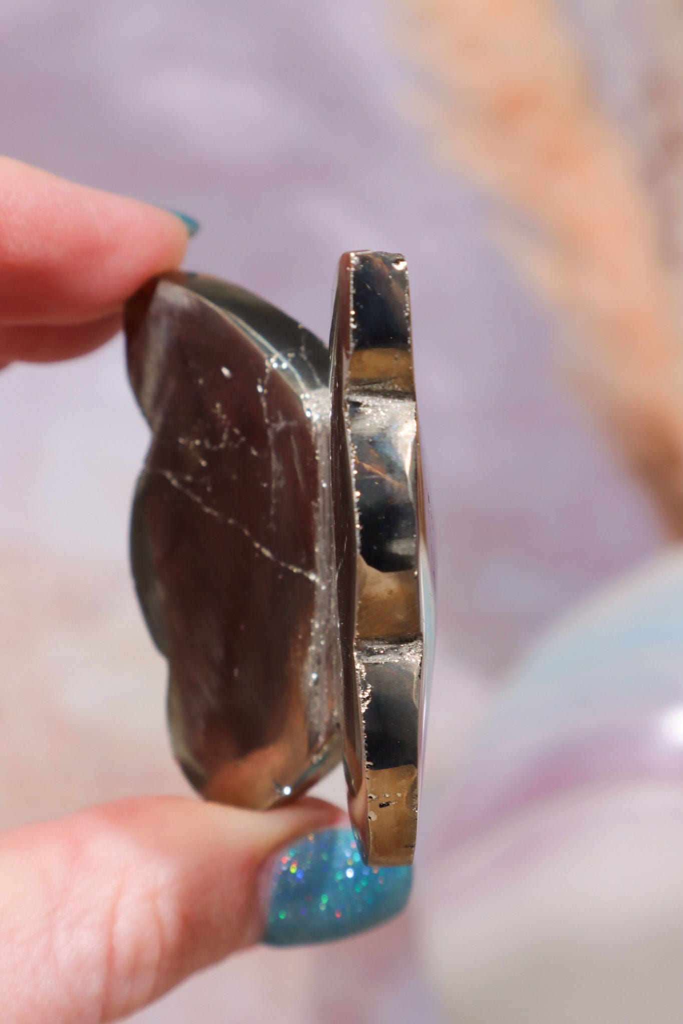 Pyrite Butterfly | Intuitively Chosen Mushrooms Tali & Loz