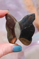 Pyrite Butterfly | Intuitively Chosen Mushrooms Tali & Loz