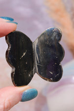Pyrite Butterfly | Intuitively Chosen Mushrooms Tali & Loz
