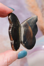 Pyrite Butterfly | Intuitively Chosen Mushrooms Tali & Loz