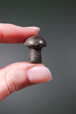 Pyrite Mushrooms 20mm - Tali & Loz Crystals