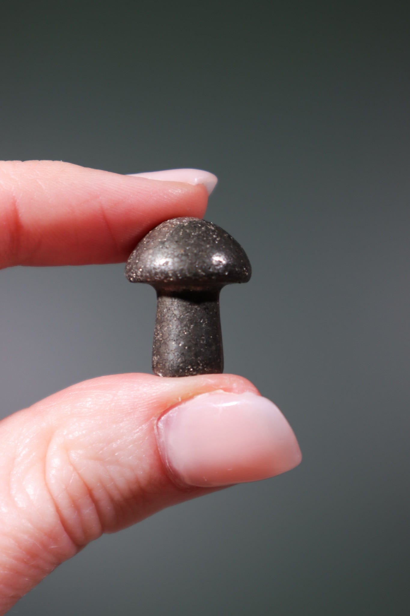 Pyrite Mushrooms 20mm Mushrooms Tali & Loz