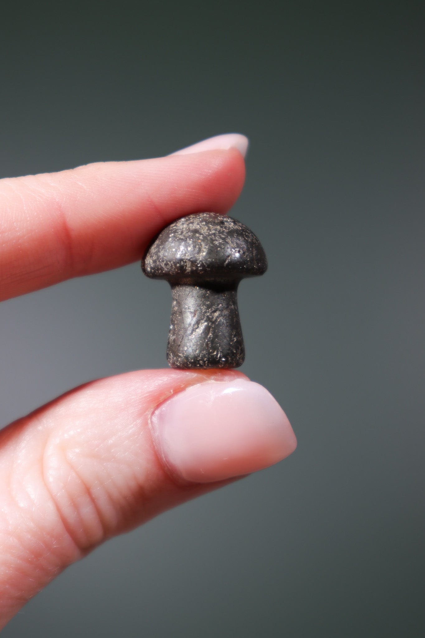 Pyrite Mushrooms 20mm - Tali & Loz Crystals