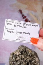 Pyrite Pseudomorph after Pyrrhotite Specimen 1KG, Trepca Yugoslavia Specimen Tali & Loz Crystals