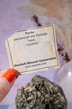 Pyrite Pseudomorph after Pyrrhotite Specimen 1KG, Trepca Yugoslavia Specimen Tali & Loz Crystals