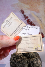 Pyrite Pseudomorph after Pyrrhotite Specimen 1KG, Trepca Yugoslavia Specimen Tali & Loz Crystals