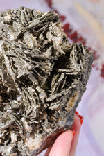 Pyrite Pseudomorph after Pyrrhotite Specimen 1KG, Trepca Yugoslavia Specimen Tali & Loz Crystals