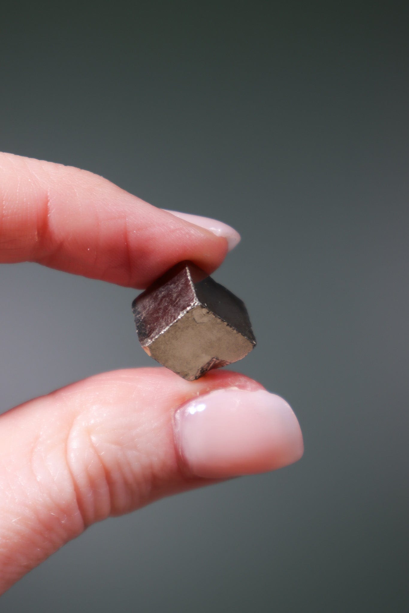 Pyrite Rough Cubes 10-15mm - Tali & Loz Crystals