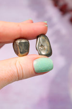 Pyrite Tumblestones 15-25mm Tumblestones Tali & Loz Crystals