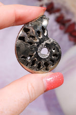 Pyritised Ammonite from France 16gr Fossil Tali & Loz Crystals