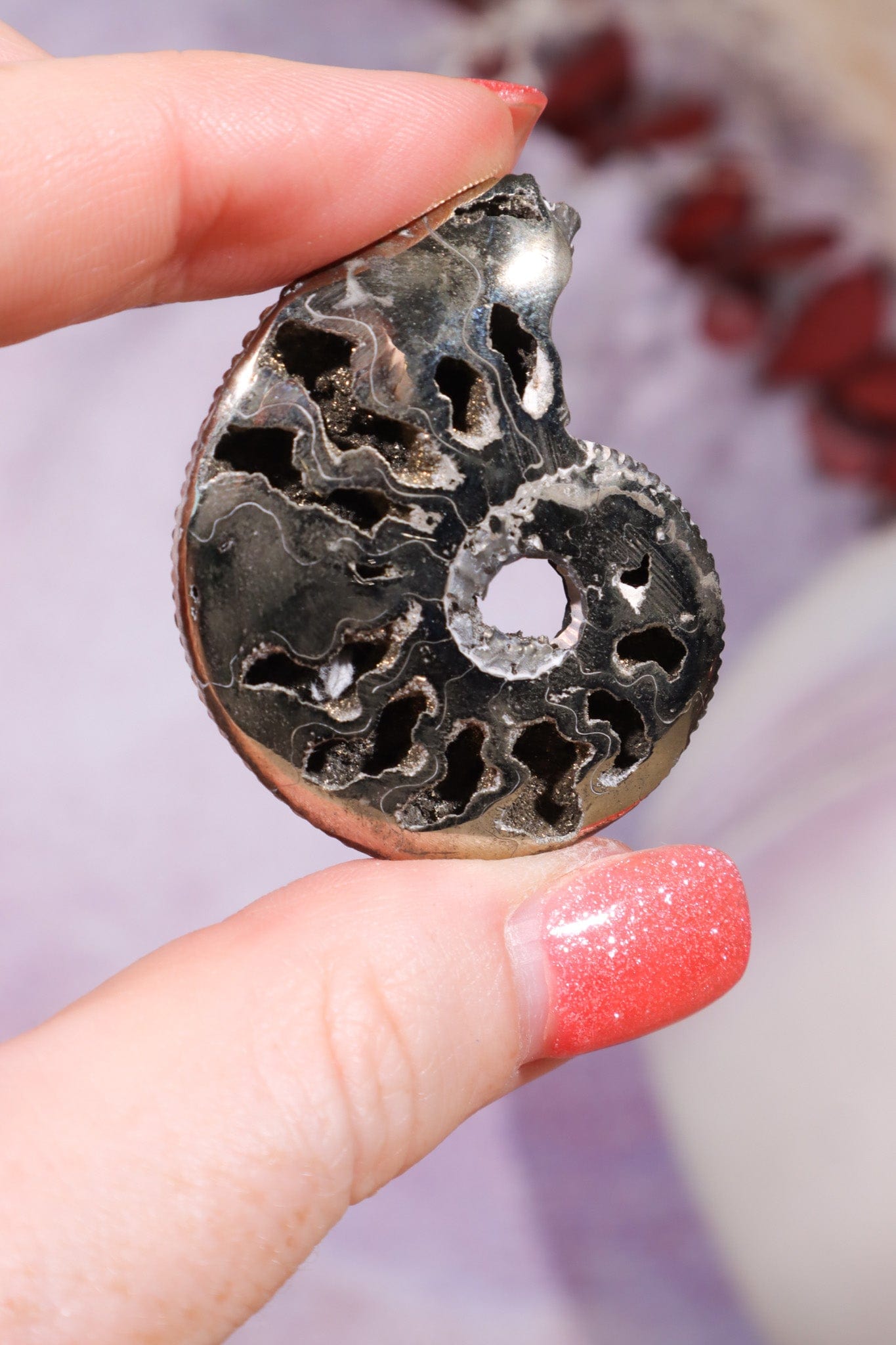 Pyritised Ammonite from France 16gr Fossil Tali & Loz Crystals