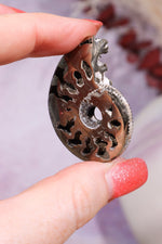 Pyritised Ammonite from France 16gr Fossil Tali & Loz Crystals