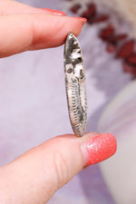 Pyritised Ammonite from France 16gr Fossil Tali & Loz Crystals