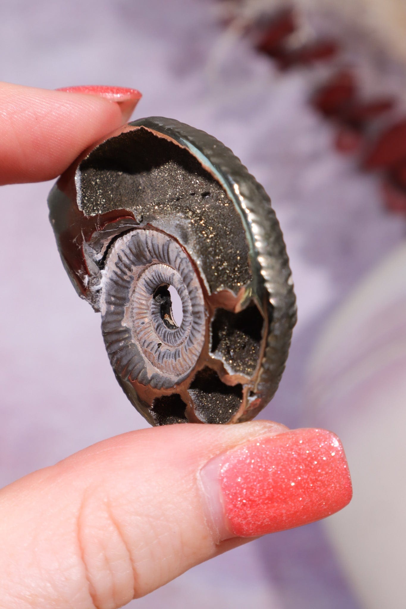 Pyritised Ammonite from France 17.70gr Fossil Tali & Loz Crystals