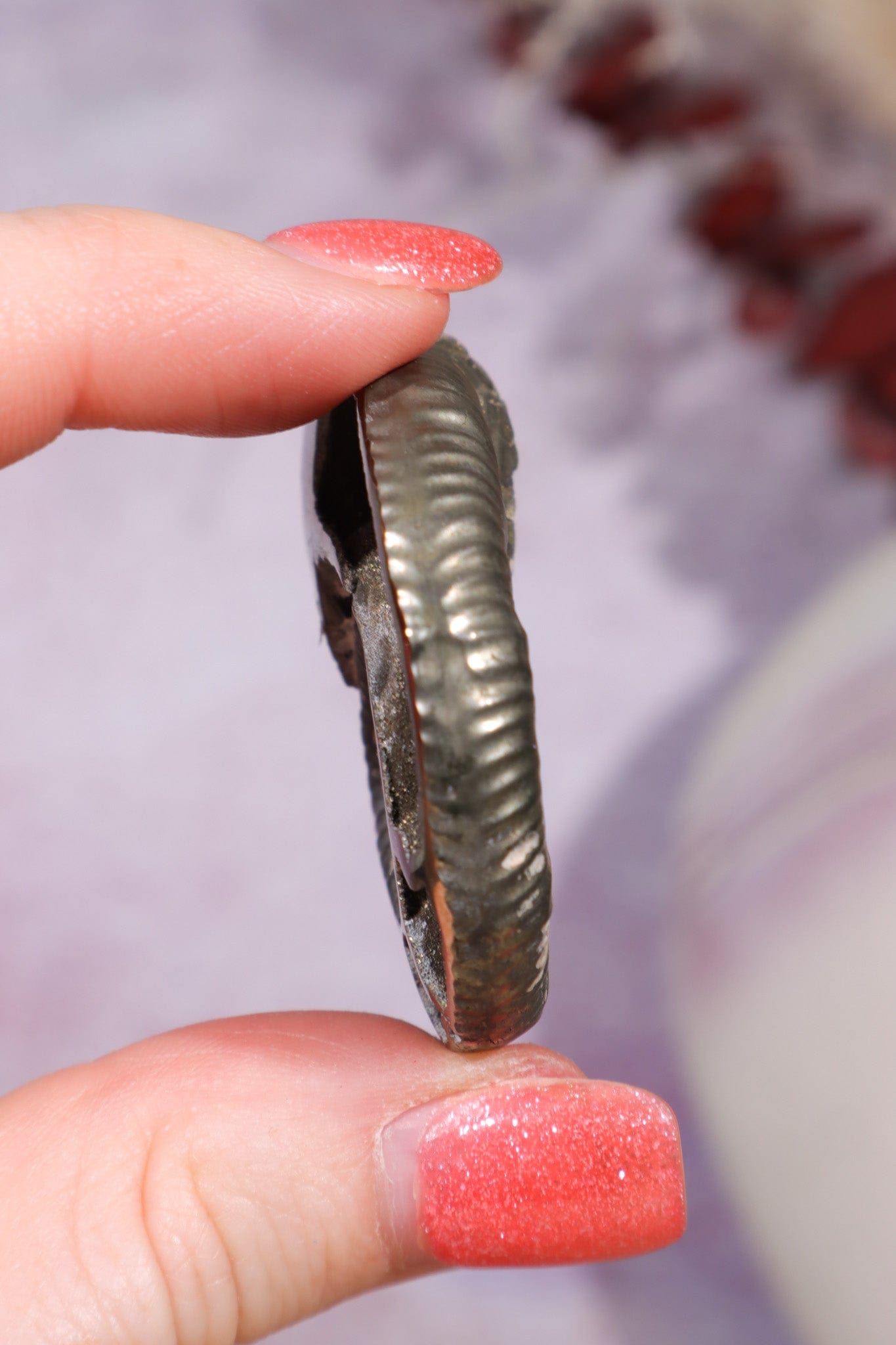 Pyritised Ammonite from France 17.70gr Fossil Tali & Loz Crystals