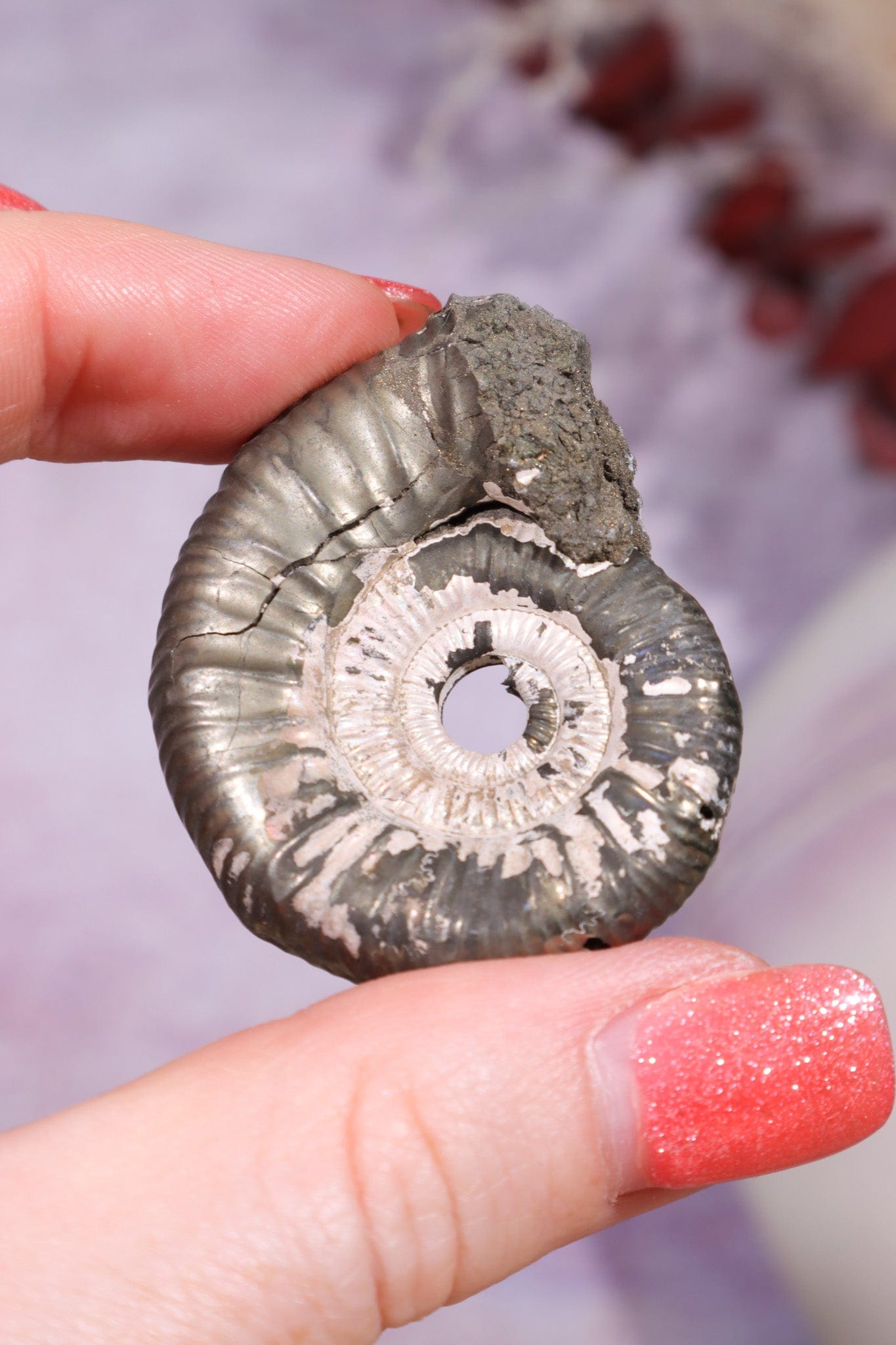 Pyritised Ammonite from France 17.70gr Fossil Tali & Loz Crystals