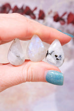 Rainbow Moonstone Cabochons Teardrops Cabochons Teardrops Small (2/2.5cm) Tali & Loz Crystals