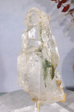 Rare Elestial Quartz With Chlorite Inclusions 15cm Specimen Tali & Loz Crystals