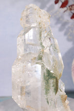Rare Elestial Quartz With Chlorite Inclusions 15cm Specimen Tali & Loz Crystals