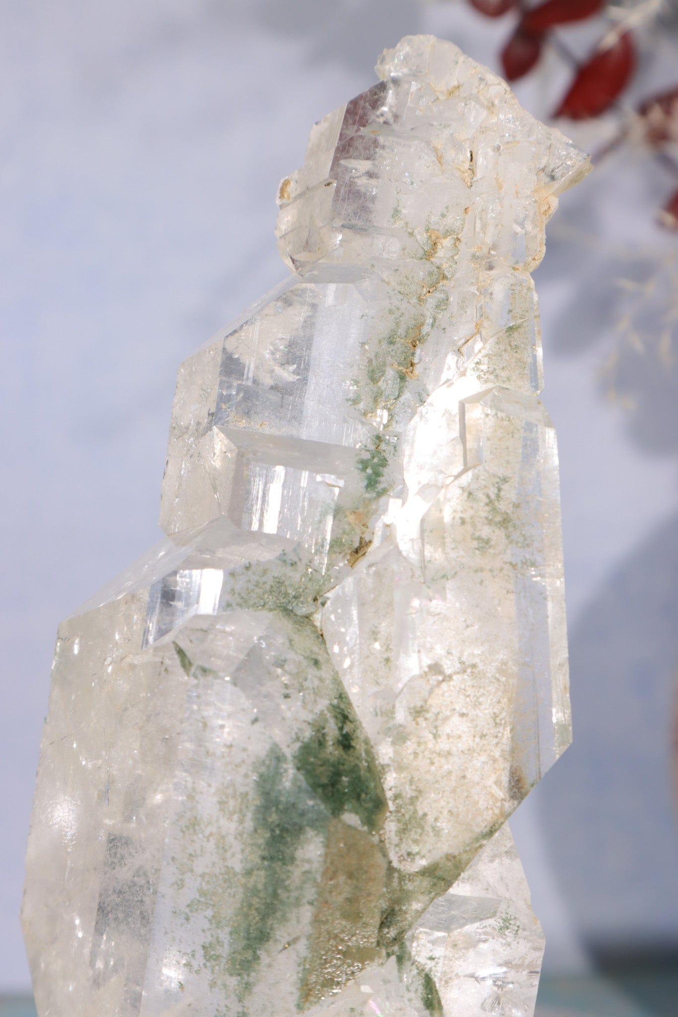 Rare Elestial Quartz With Chlorite Inclusions 15cm Specimen Tali & Loz Crystals