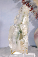 Rare Elestial Quartz With Chlorite Inclusions 15cm Specimen Tali & Loz Crystals