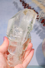 Rare Elestial Quartz With Chlorite Inclusions 15cm Specimen Tali & Loz Crystals
