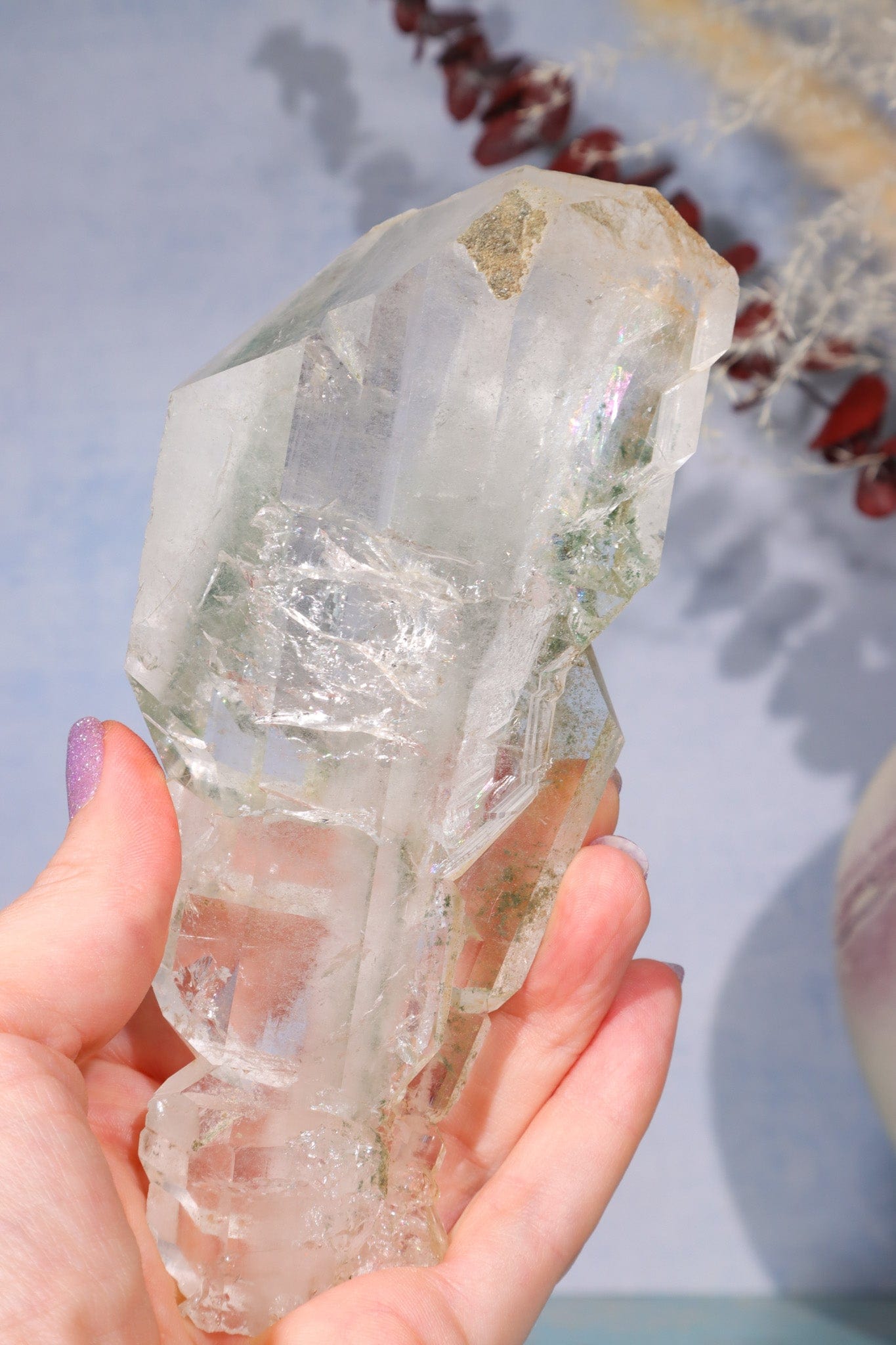 Rare Elestial Quartz With Chlorite Inclusions 15cm Specimen Tali & Loz Crystals