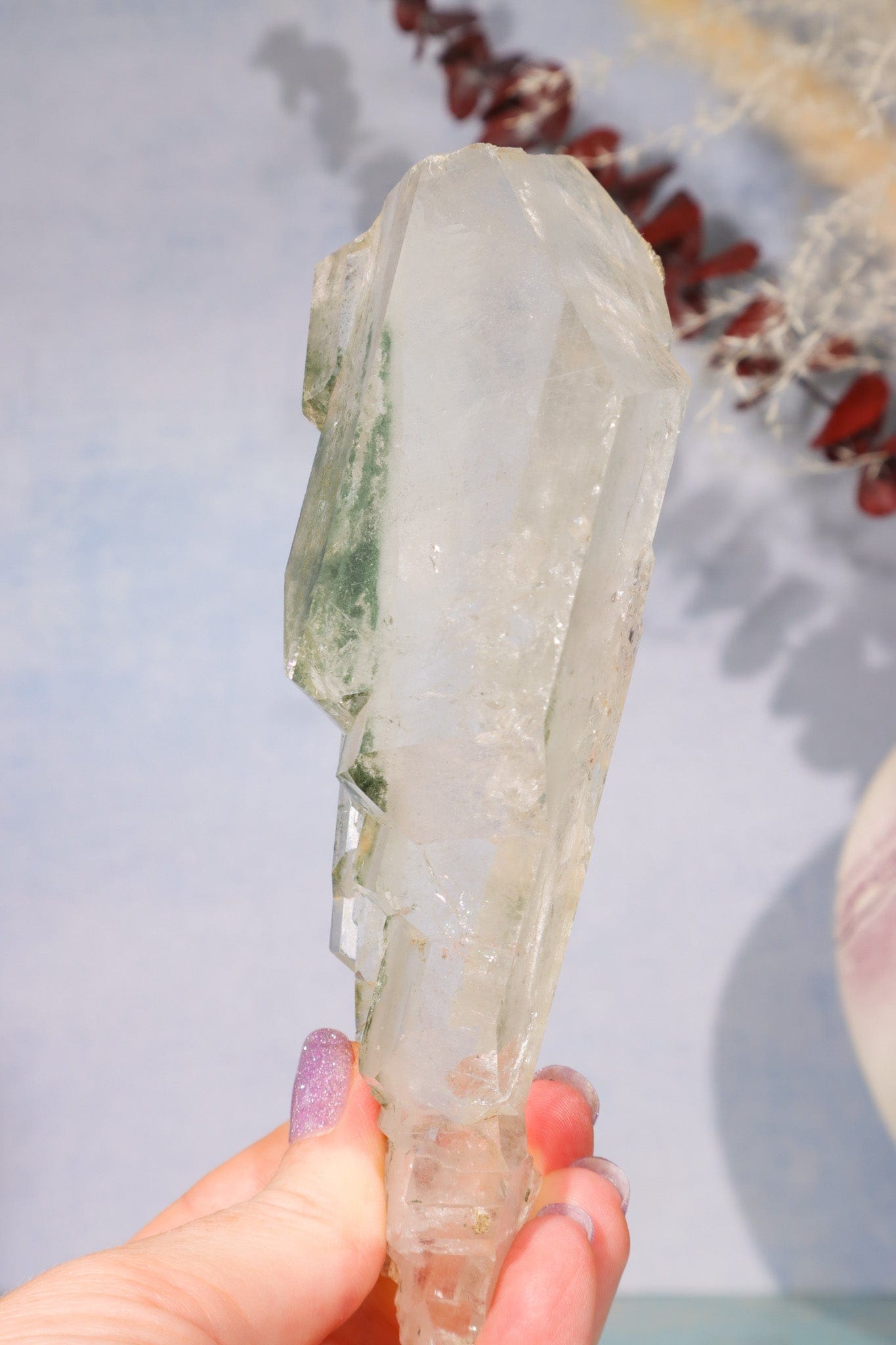 Rare Elestial Quartz With Chlorite Inclusions 15cm Specimen Tali & Loz Crystals