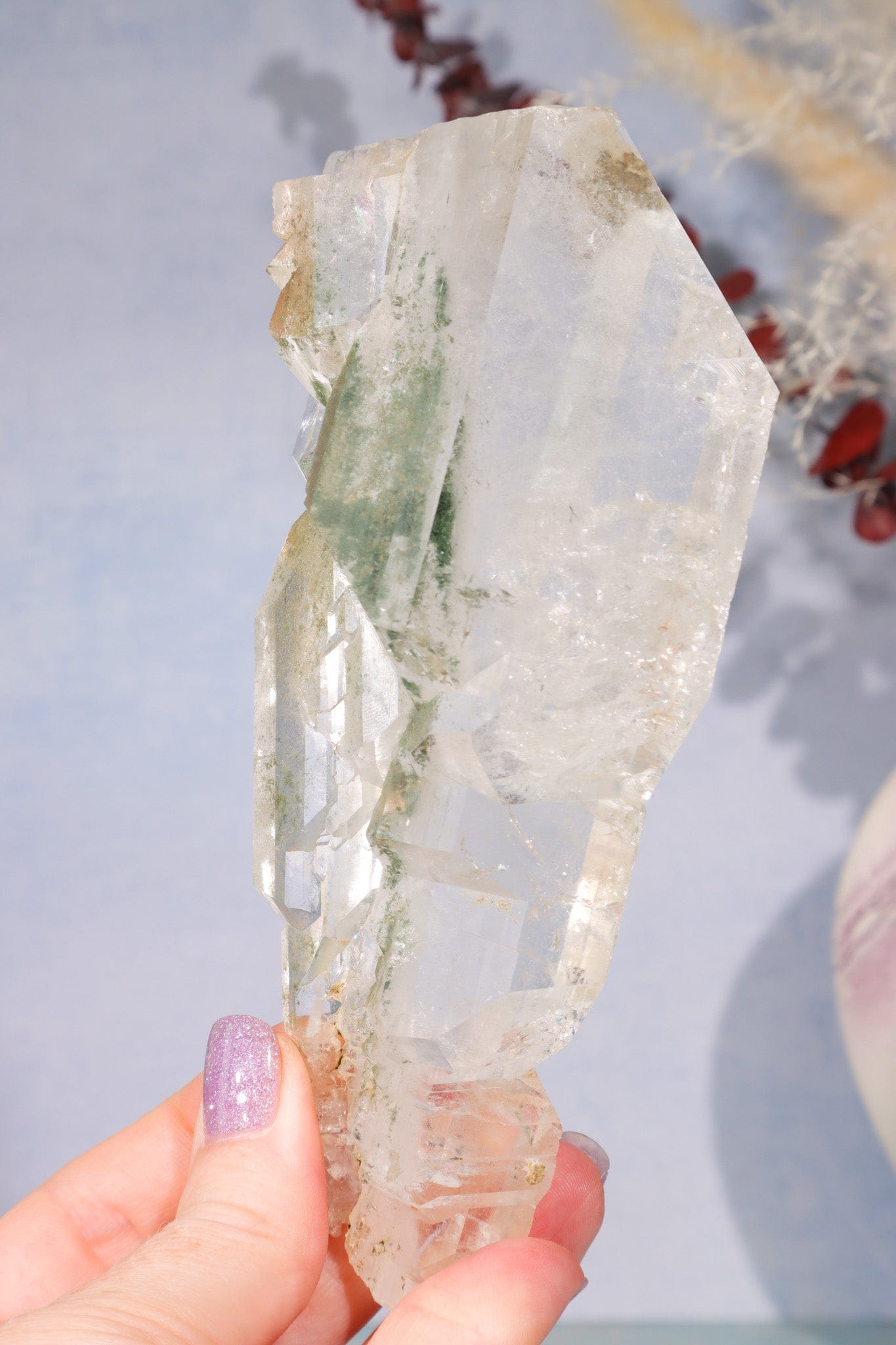Rare Elestial Quartz With Chlorite Inclusions 15cm Specimen Tali & Loz Crystals