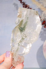 Rare Elestial Quartz With Chlorite Inclusions 15cm Specimen Tali & Loz Crystals