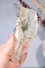 Rare Elestial Quartz With Chlorite Inclusions 15cm Specimen Tali & Loz Crystals