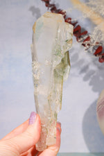 Rare Elestial Quartz With Chlorite Inclusions 15cm Specimen Tali & Loz Crystals