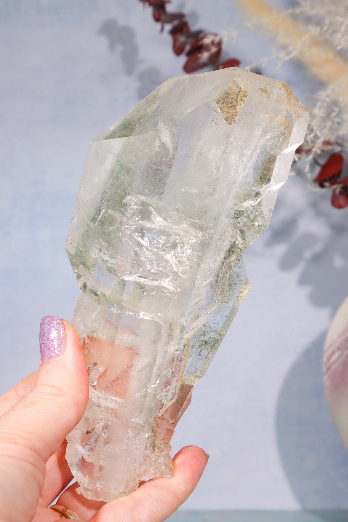 Rare Elestial Quartz With Chlorite Inclusions 15cm Specimen Tali & Loz Crystals