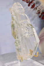 Rare Elestial Quartz With Chlorite Inclusions 15cm Specimen Tali & Loz Crystals