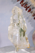 Rare Elestial Quartz With Chlorite Inclusions 15cm Specimen Tali & Loz Crystals