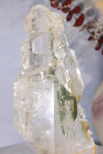 Rare Elestial Quartz With Chlorite Inclusions 15cm Specimen Tali & Loz Crystals