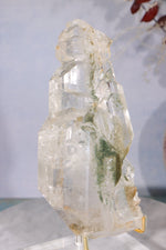 Rare Elestial Quartz With Chlorite Inclusions 15cm Specimen Tali & Loz Crystals