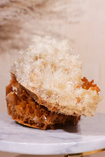 Rare Gypsum, Australia Statement Specimen, Sold As Seen Wands Tali & Loz Crystals