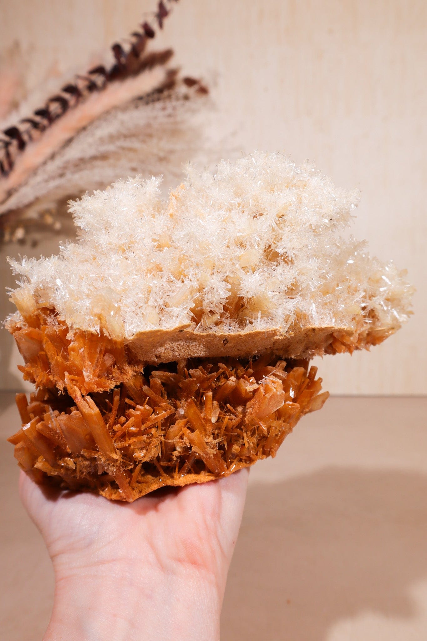 Rare Gypsum, Australia Statement Specimen, Sold As Seen Wands Tali & Loz Crystals