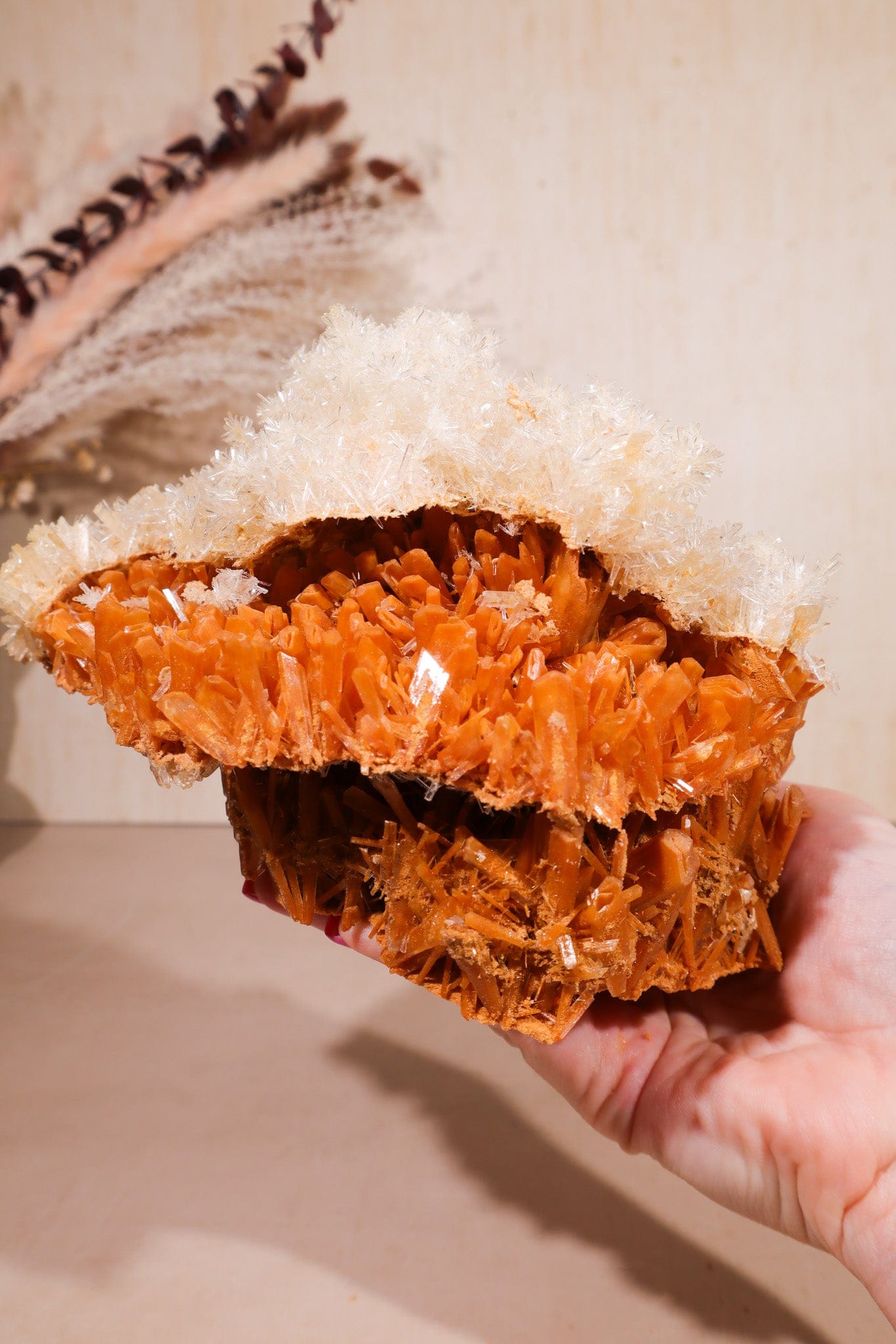 Rare Gypsum, Australia Statement Specimen, Sold As Seen Wands Tali & Loz Crystals