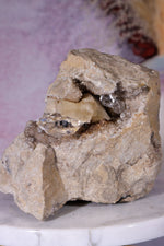 Rare Herkimer Diamond Specimen 0.6KG with Quartz, Calcite and Bitumen, New York, USA Rocks & Fossils Tali & Loz