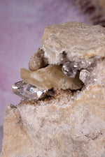 Rare Herkimer Diamond Specimen 0.6KG with Quartz, Calcite and Bitumen, New York, USA Rocks & Fossils Tali & Loz