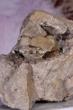 Rare Herkimer Diamond Specimen 0.6KG with Quartz, Calcite and Bitumen, New York, USA Rocks & Fossils Tali & Loz